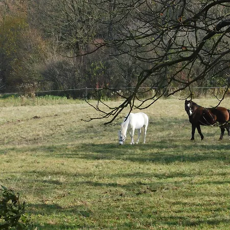 Hubertus 3* Csesznek
