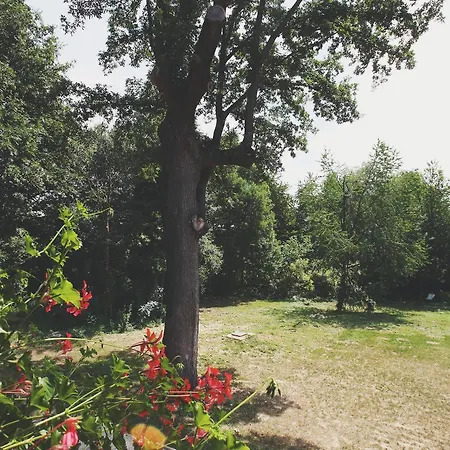 Hubertus 3* Csesznek